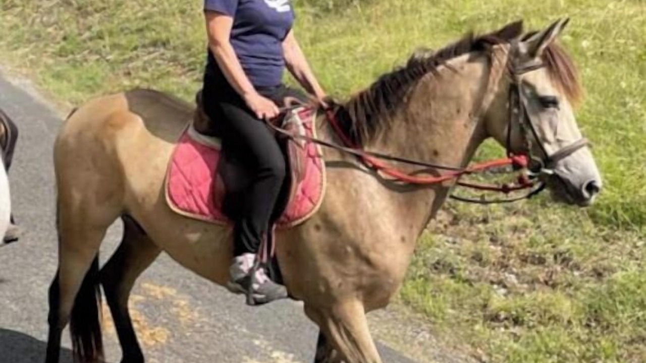 Photo of Others in Dignac