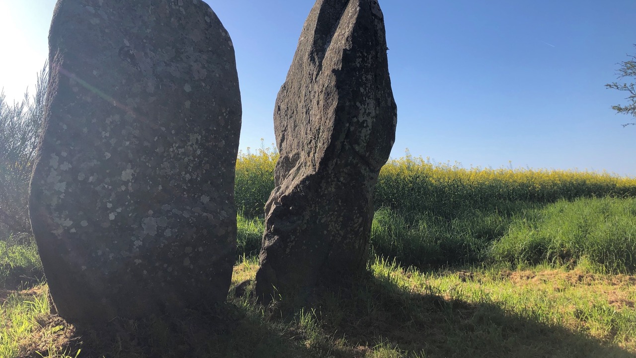 Photo of Others in Ploemel