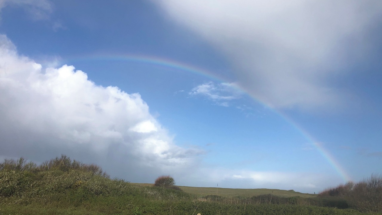 Photo of Others in Ploemel