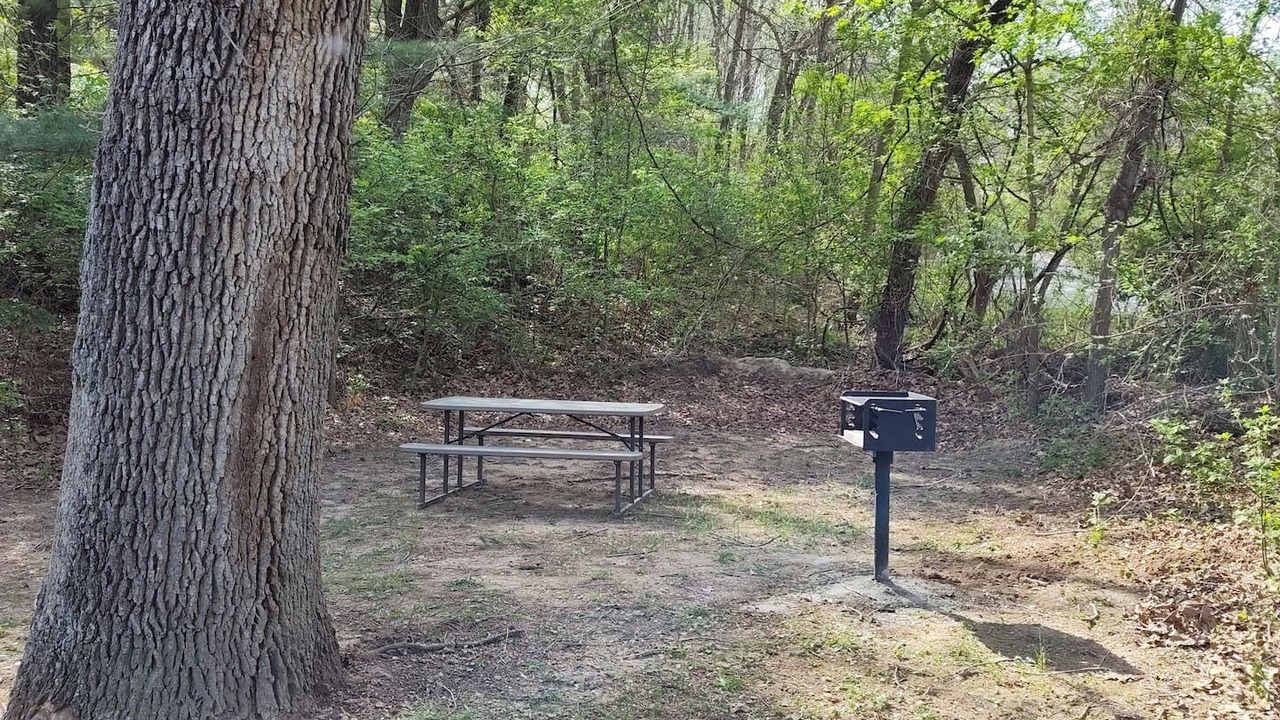 Photo of Outdoor in Waynesville