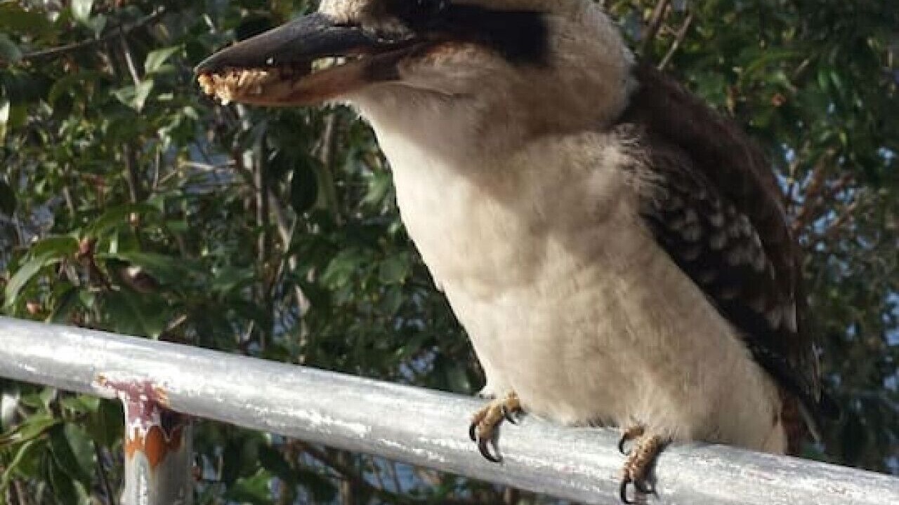 Photo of Others in Berowra Waters