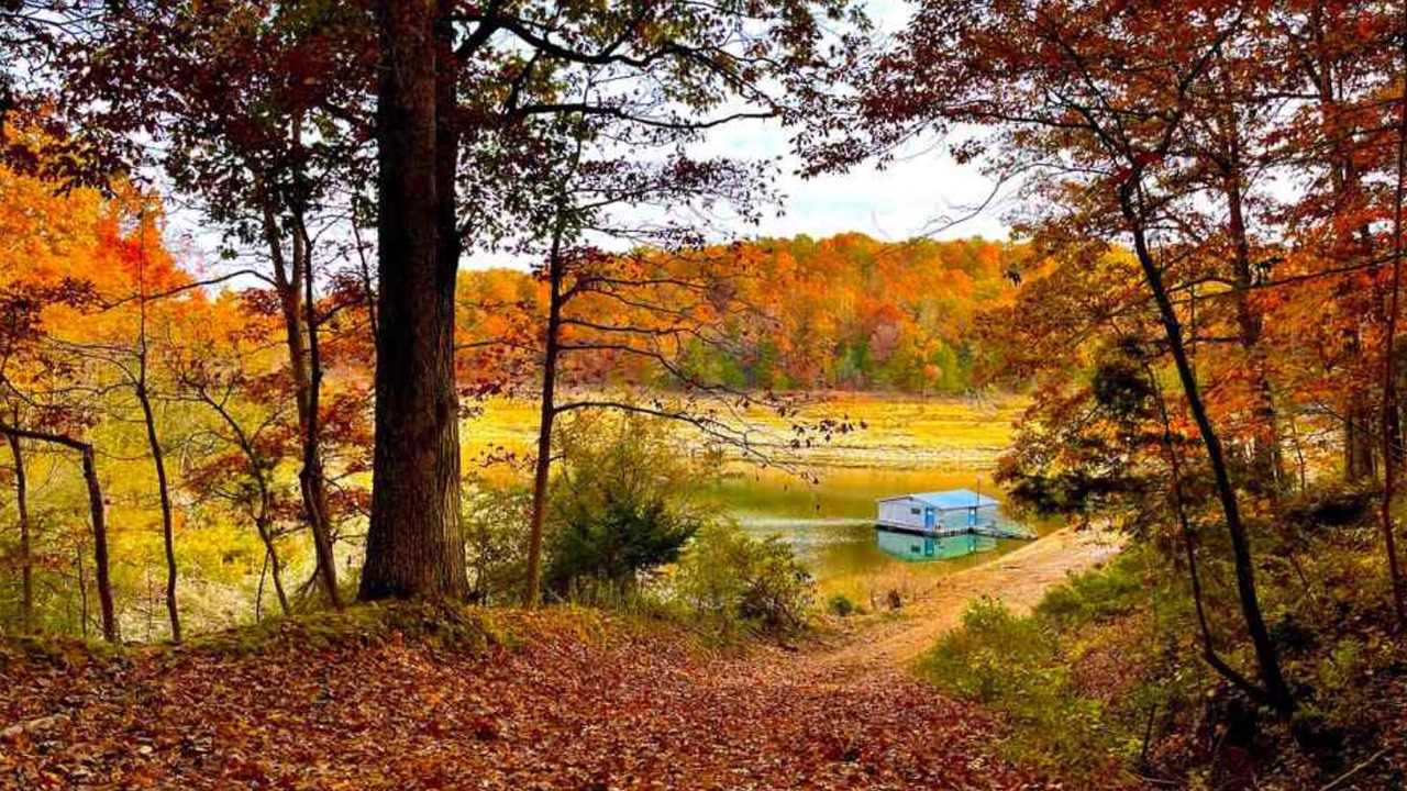 Photo of Others in Bull Shoals