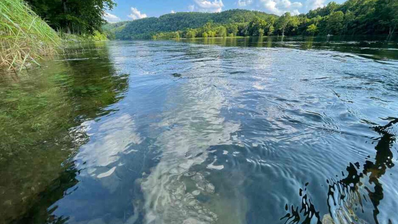 Photo of Others in Bull Shoals
