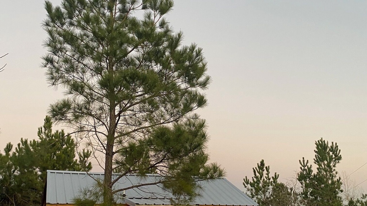 Photo of Outdoor in Bastrop