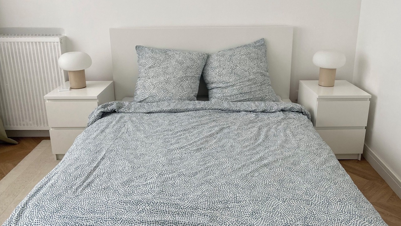 Photo of Bedroom in Le Plessis-Robinson