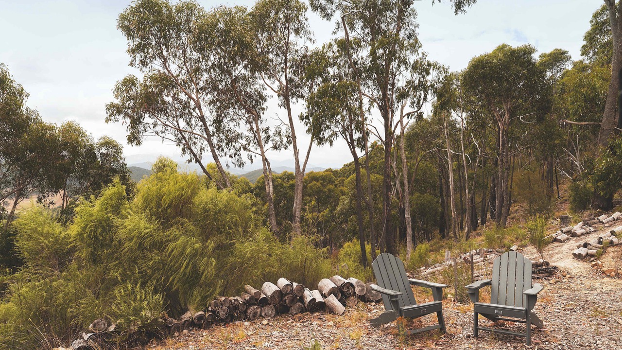 Photo of Outdoor in Steels Creek