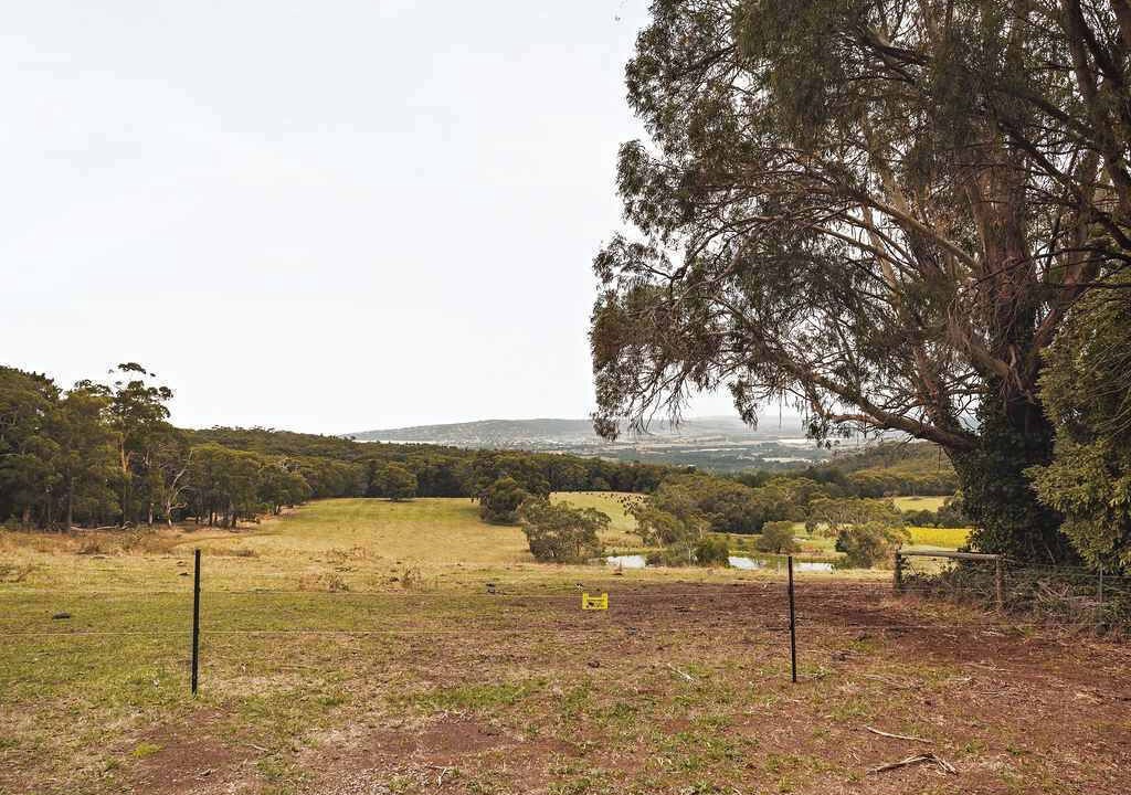 Photo of Outdoor in Red Hill