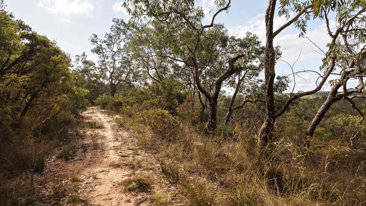 Photo of Others in Maroota