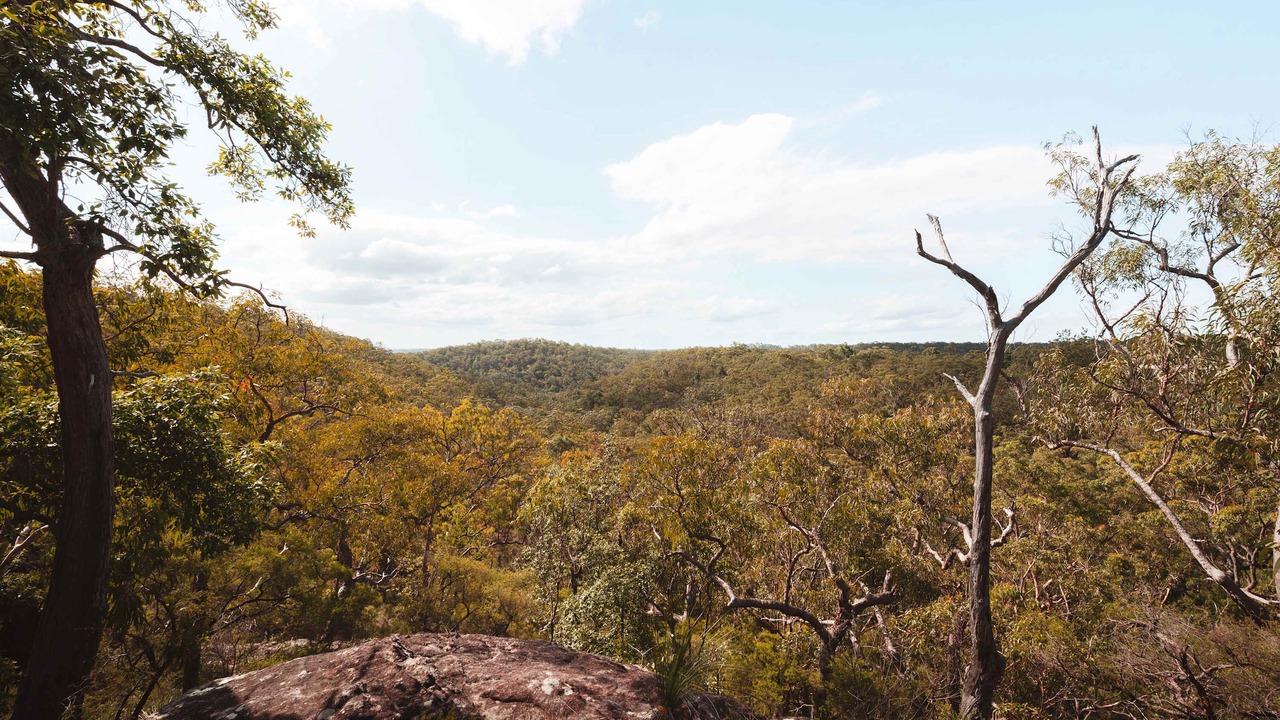 Photo of Others in Maroota
