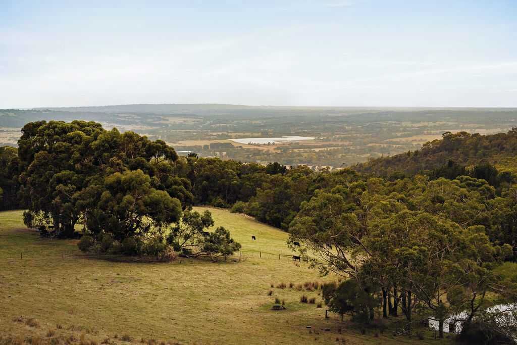 Photo of Others in Red Hill