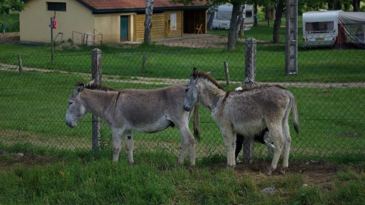Photo of Others in Langogne