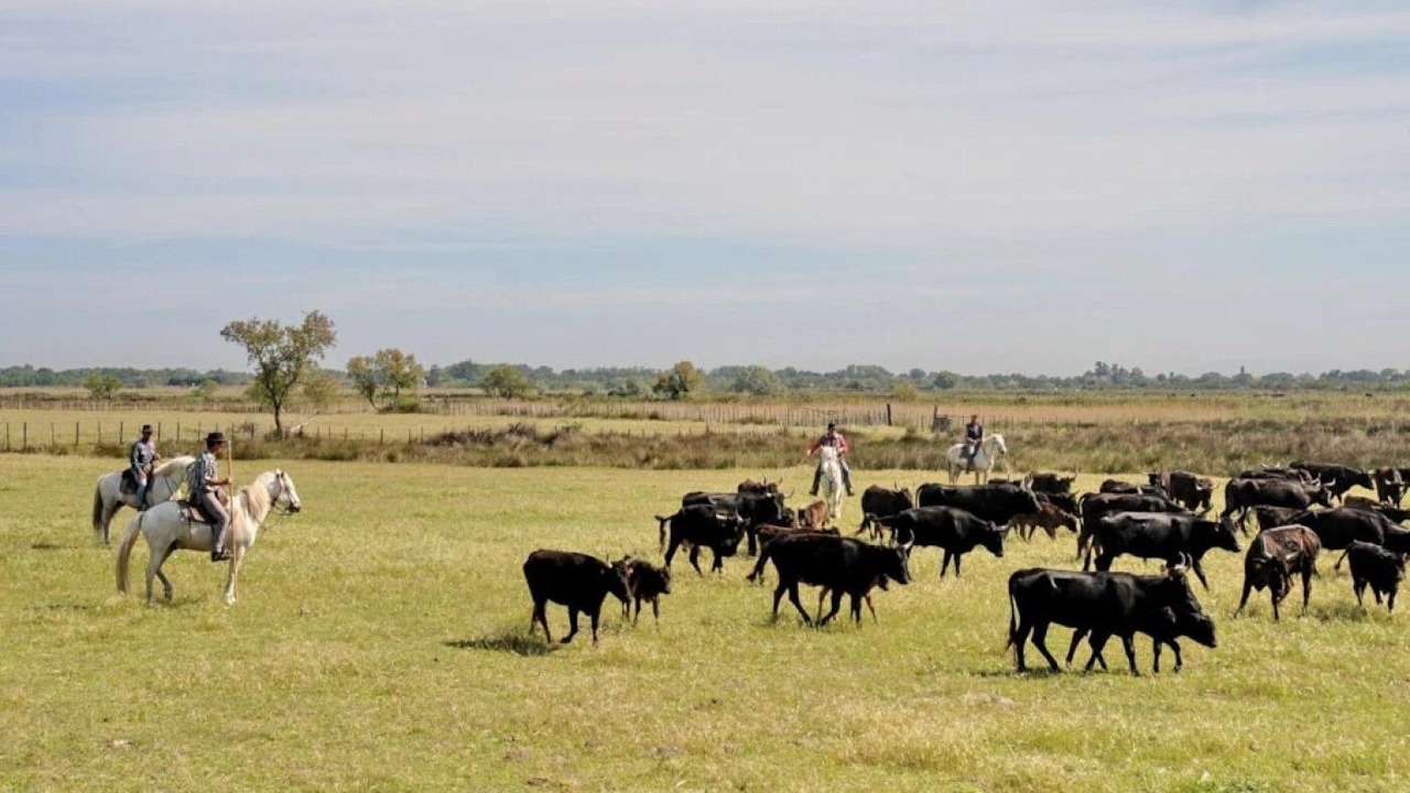 Photo of Others in Lansargues