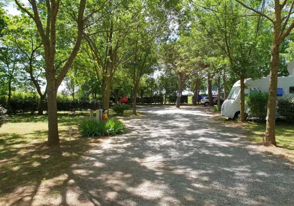Photo of Outdoor in Lansargues