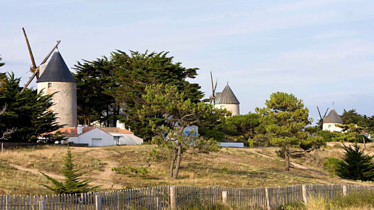 Photo of Others in Barbatre