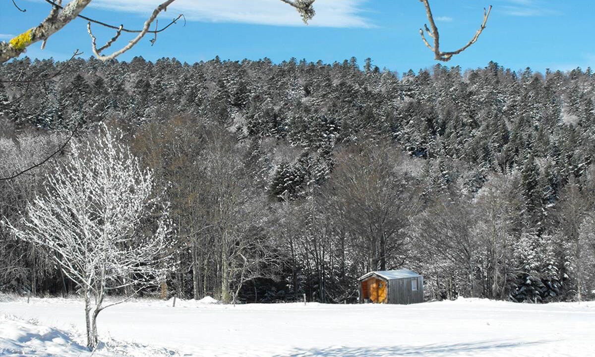 Photo of Bedroom in Vassieux-en-Vercors