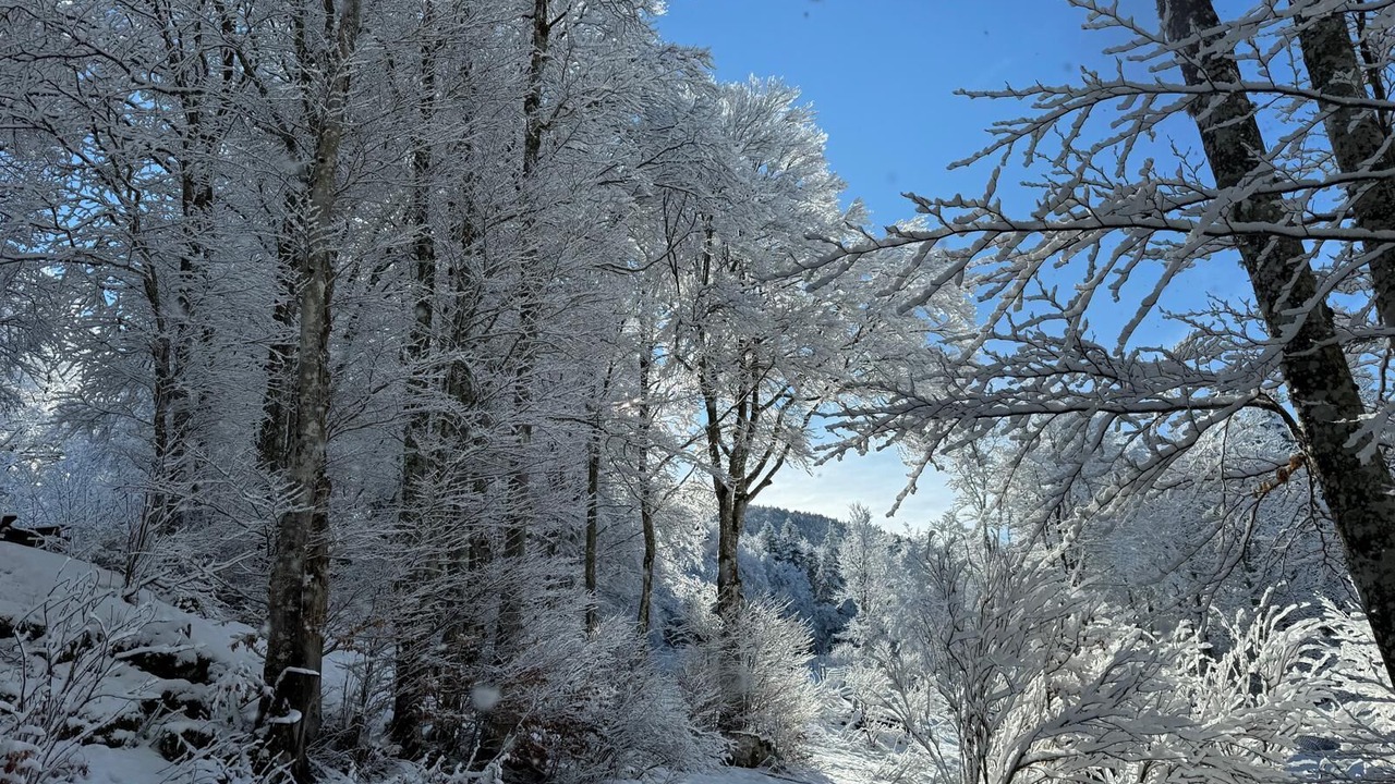 Photo of Outdoor in Vassieux-en-Vercors