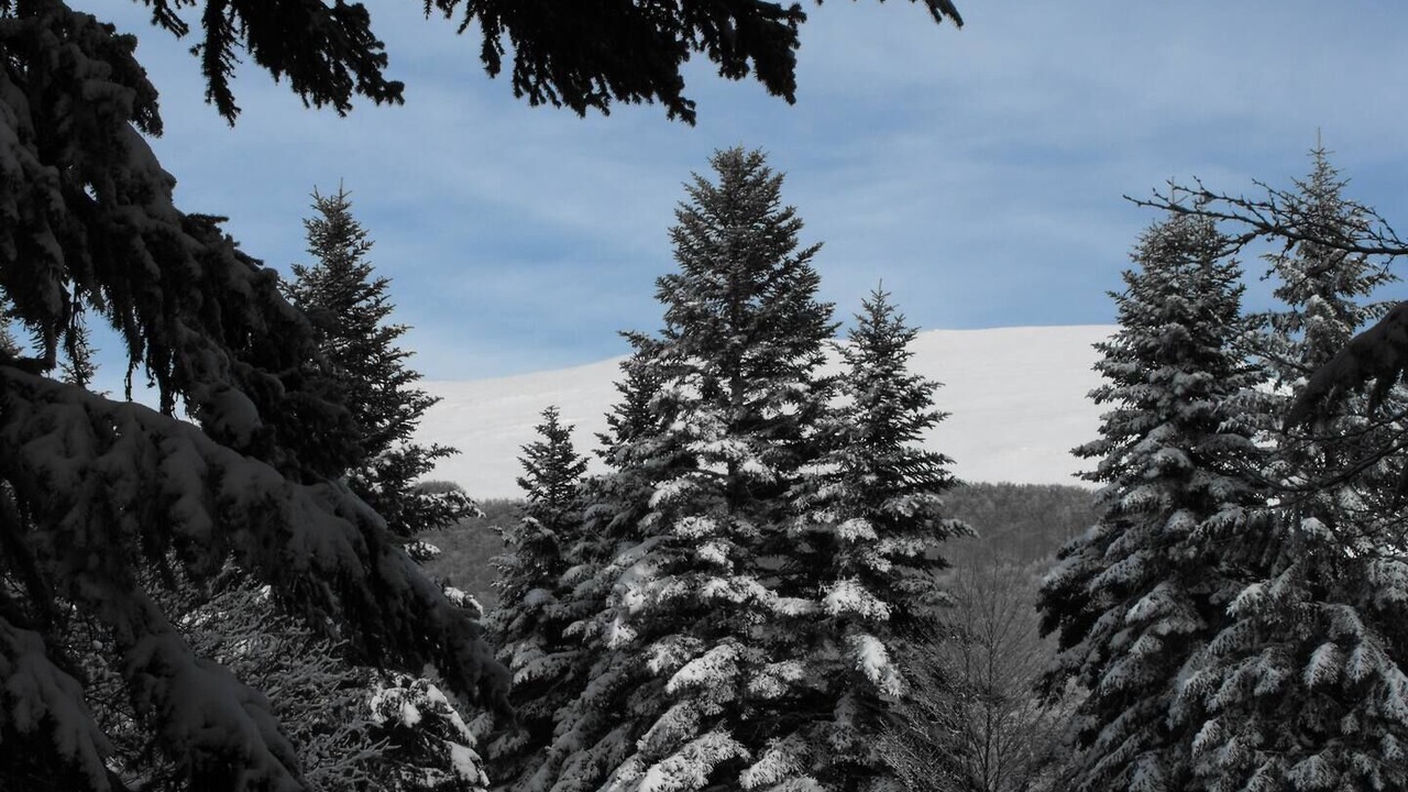 Photo of Outdoor in Vassieux-en-Vercors