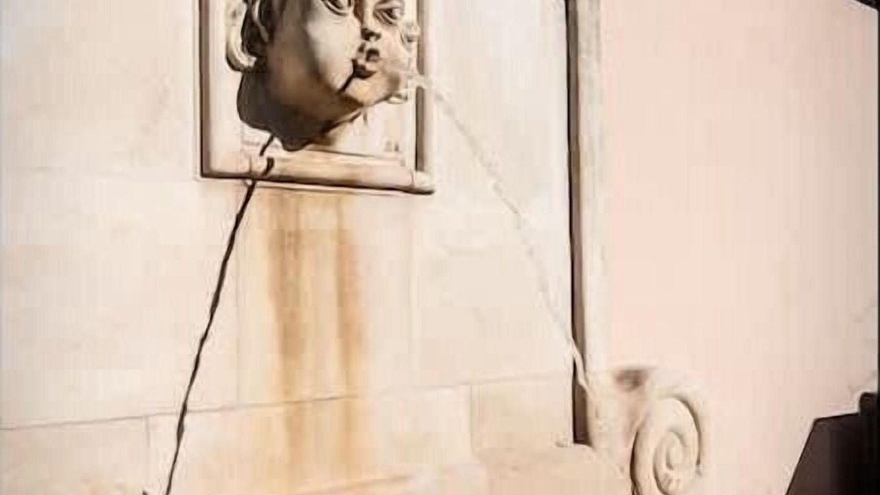 Photo of Others in Paluds de Noves