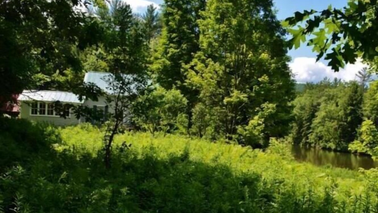 Photo of Outdoor in Taftsville