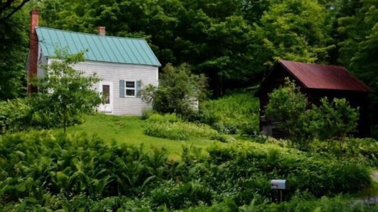 Photo of Outdoor in Taftsville