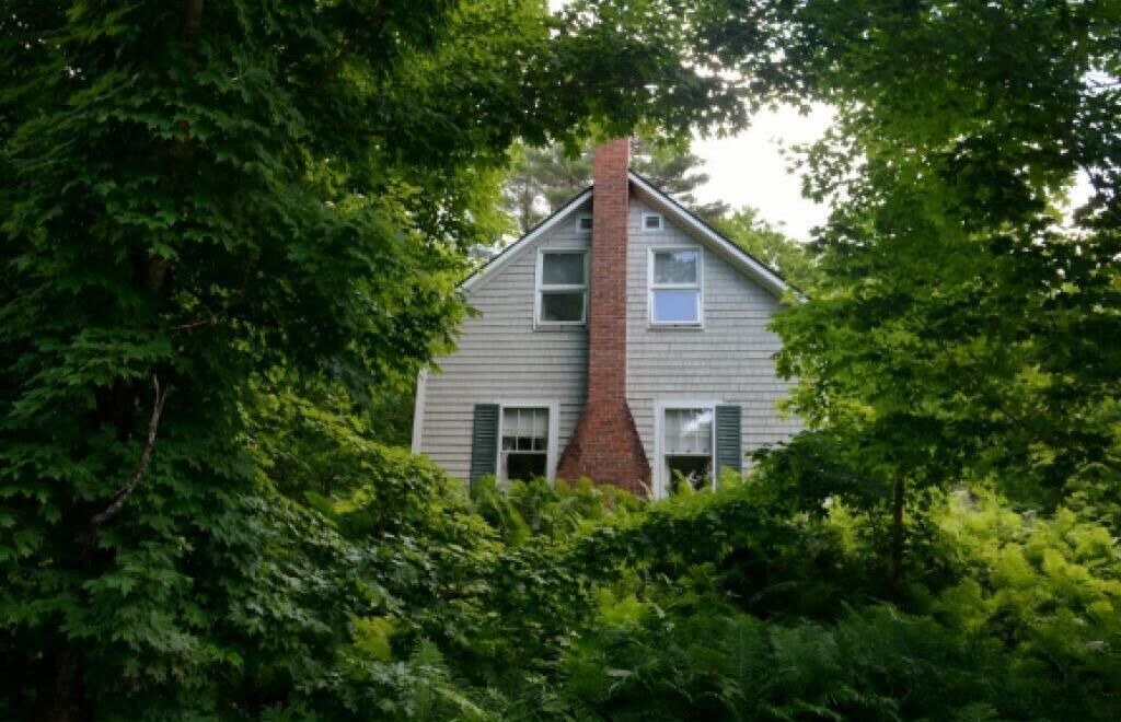 Photo of Others in Taftsville