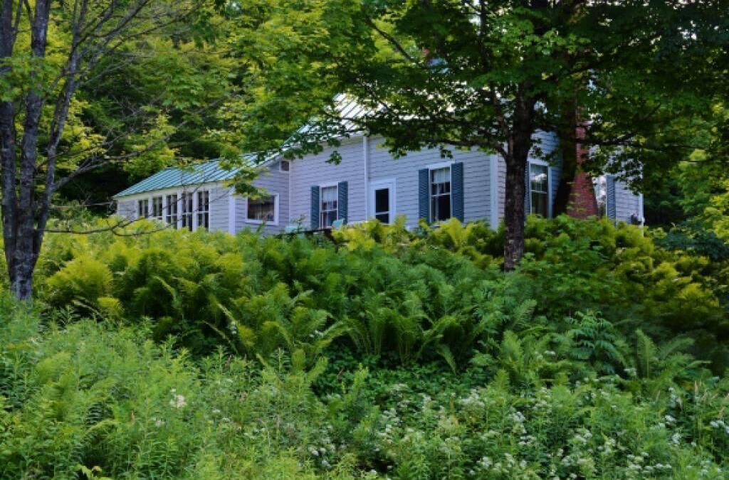 Photo of Outdoor in Taftsville