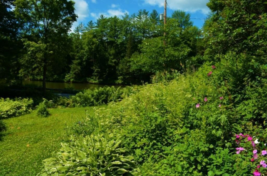 Photo of Outdoor in Taftsville
