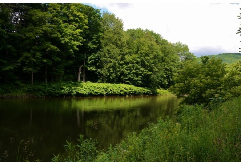 Photo of Others in Taftsville