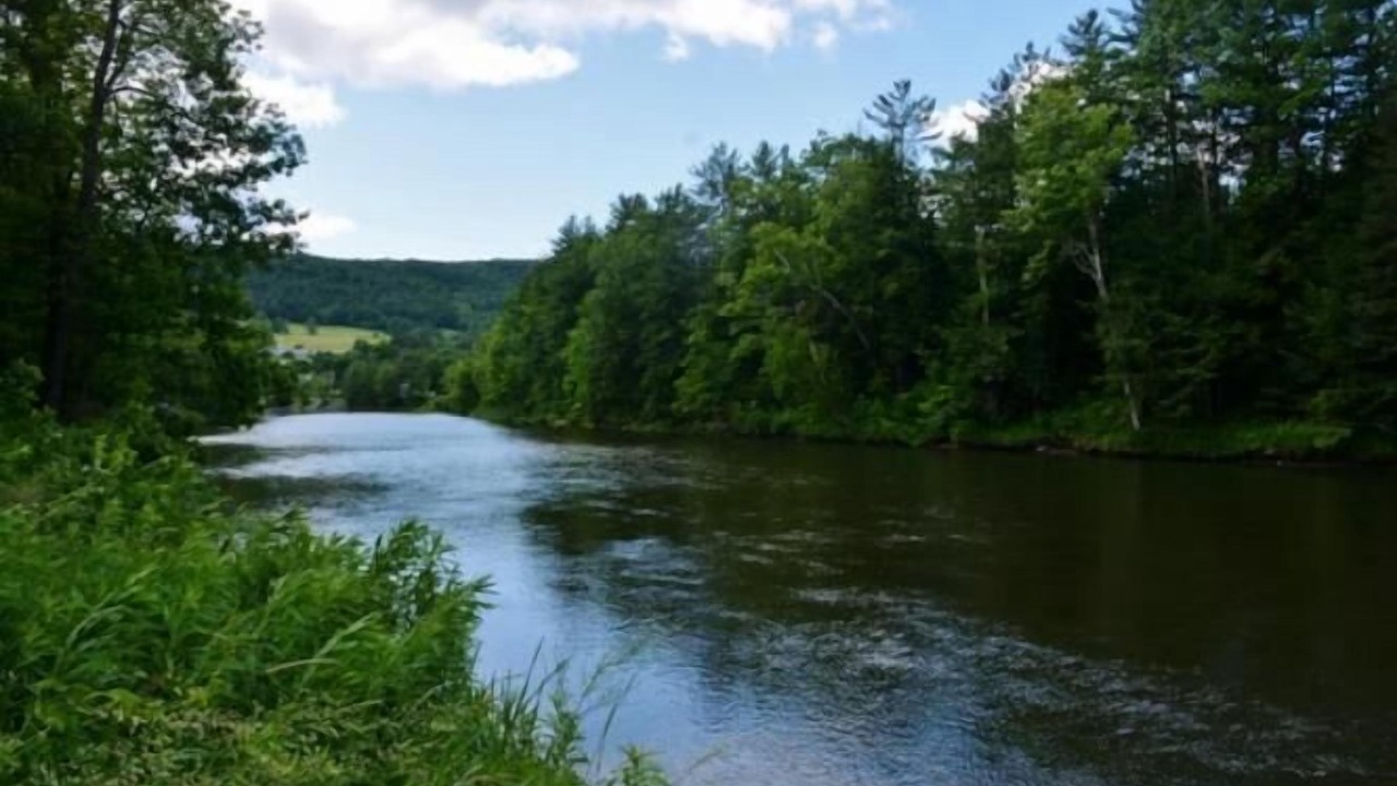 Photo of Others in Taftsville