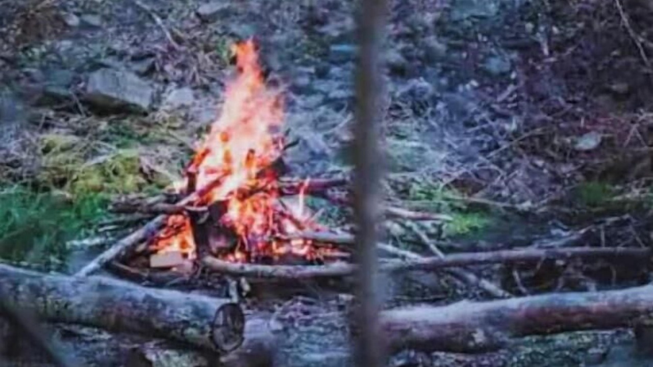 Photo of Livingroom in Town of Colchester