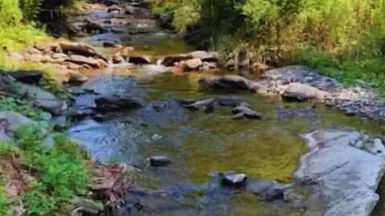 Photo of Others in Town of Colchester