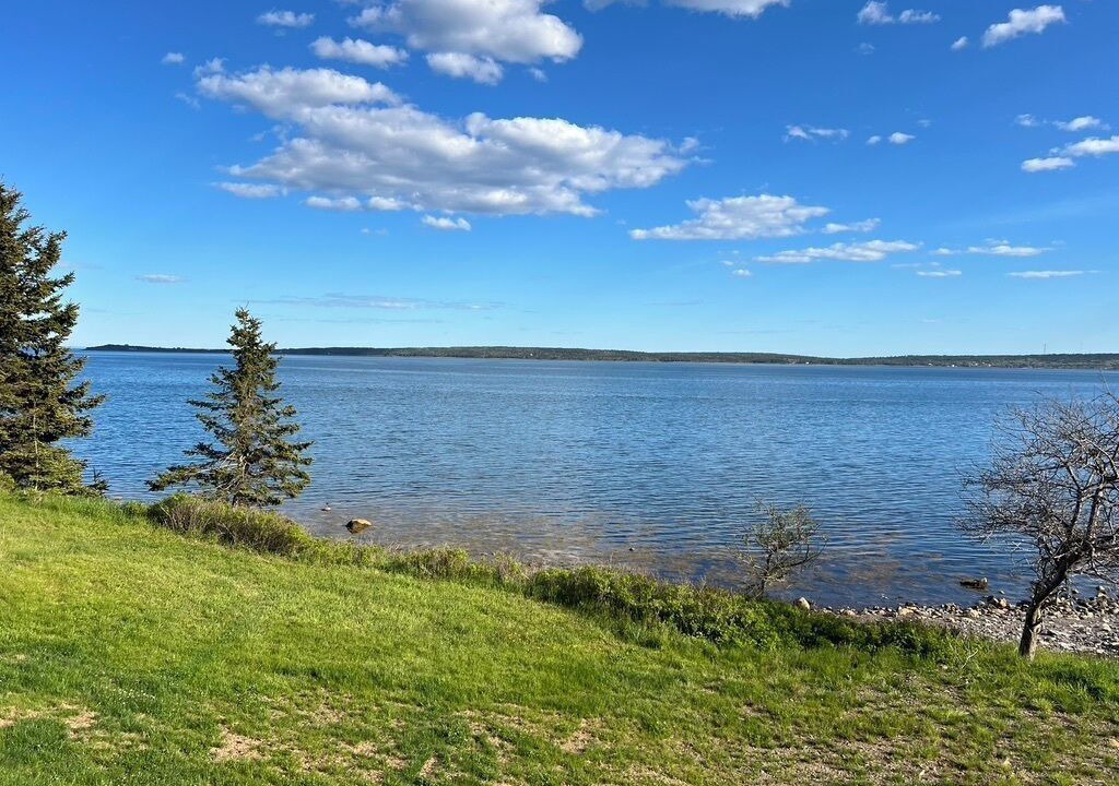 Photo of Others in Feltzen South