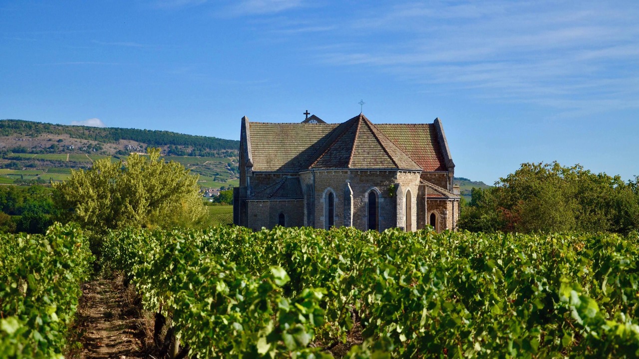 Photo of Others in Cheilly-les-Maranges