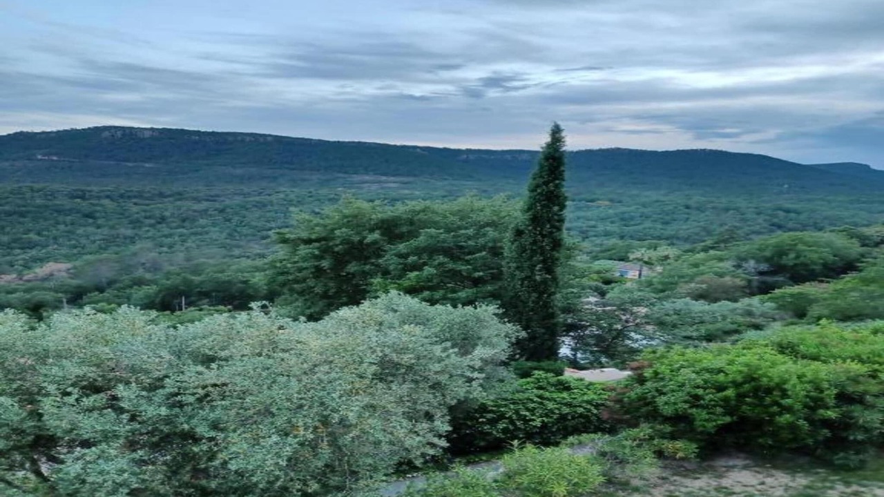 Photo of Others in La Garde-Freinet
