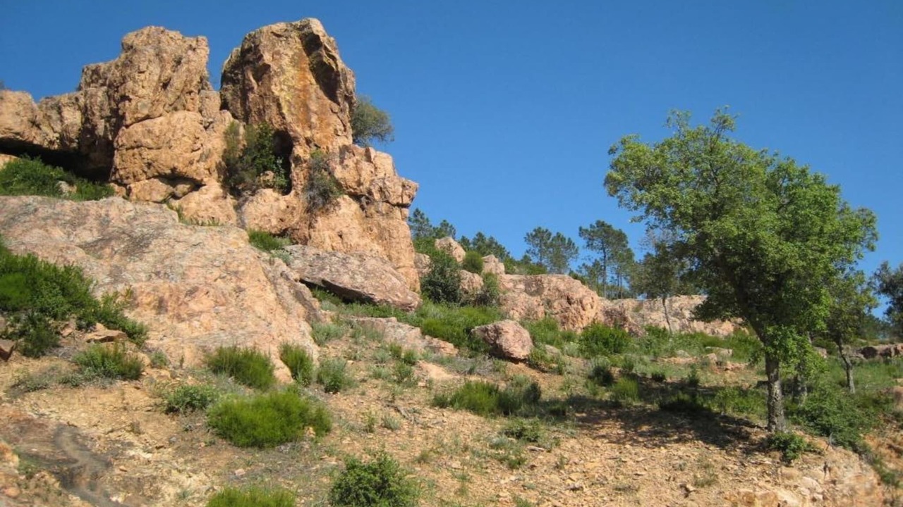 Photo of Others in La Garde-Freinet