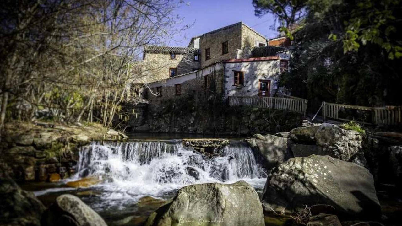 Photo of Others in Montolieu