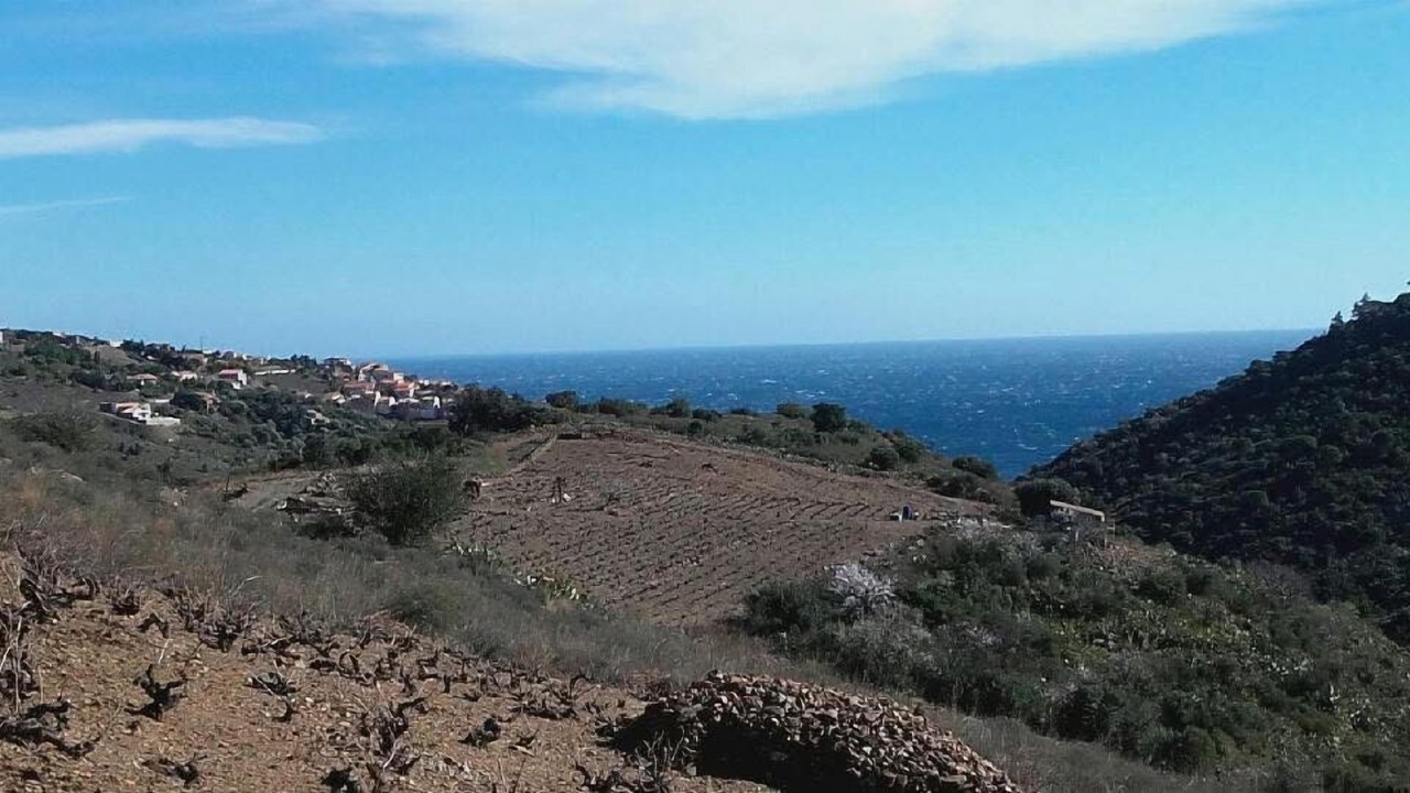 Photo of Others in Cerbere