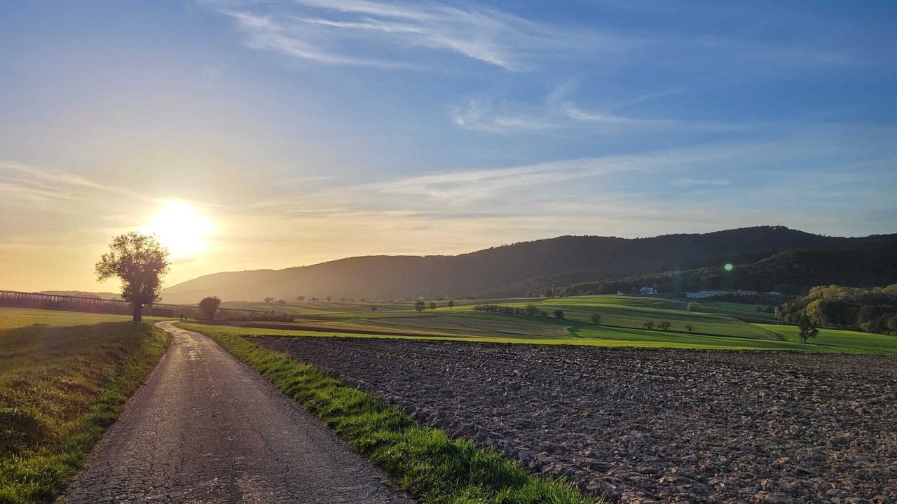 Photo of Others in Oberhoffen-les-Wissembourg