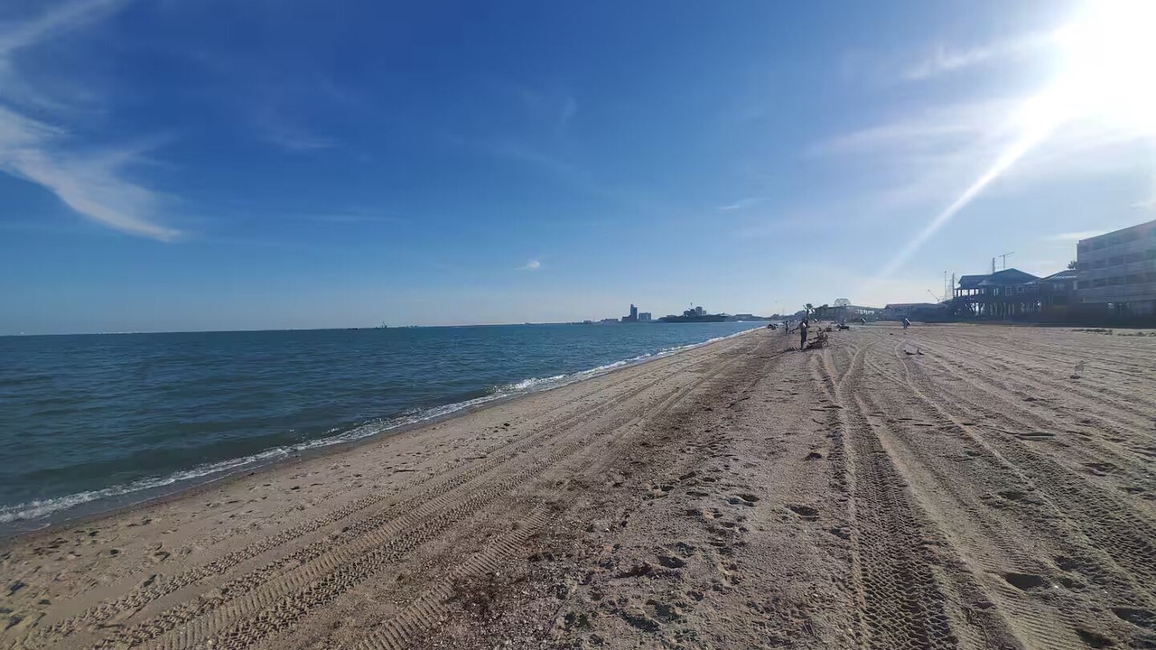 Photo of Others in North Beach