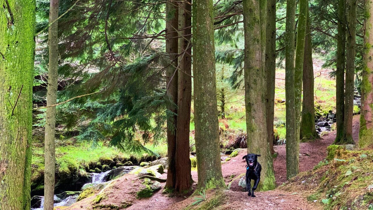 Photo of Others in Tywyn