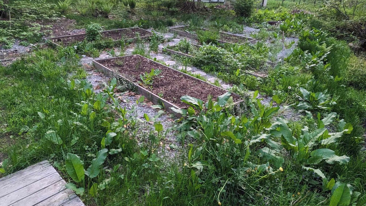 Photo of Outdoor in Hillsboro