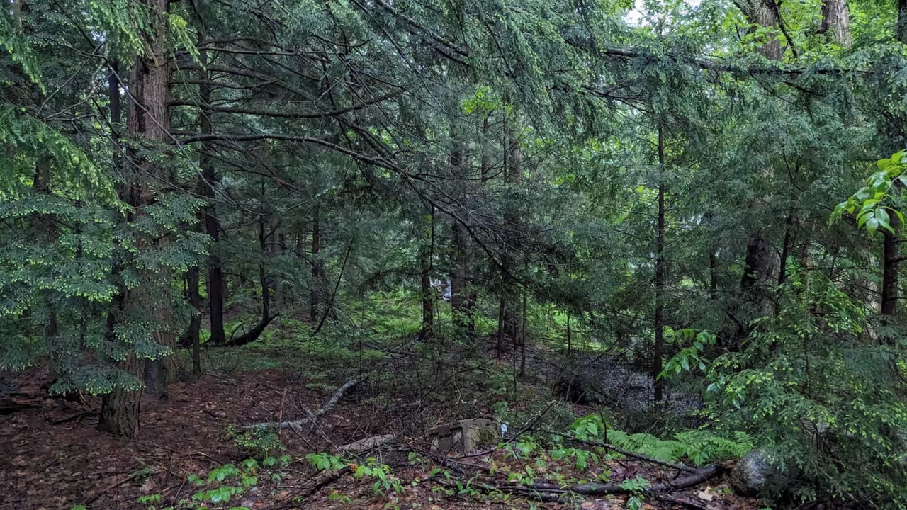 Photo of Others in Hillsboro