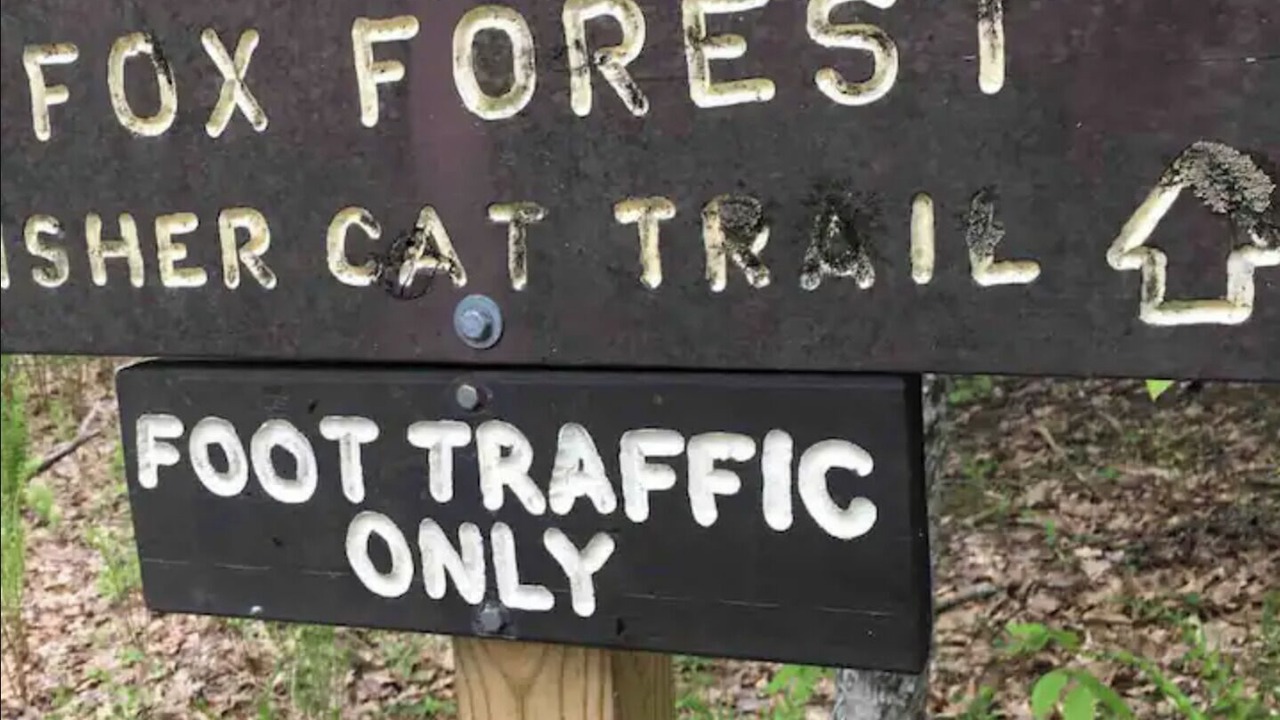 Photo of Others in Hillsboro