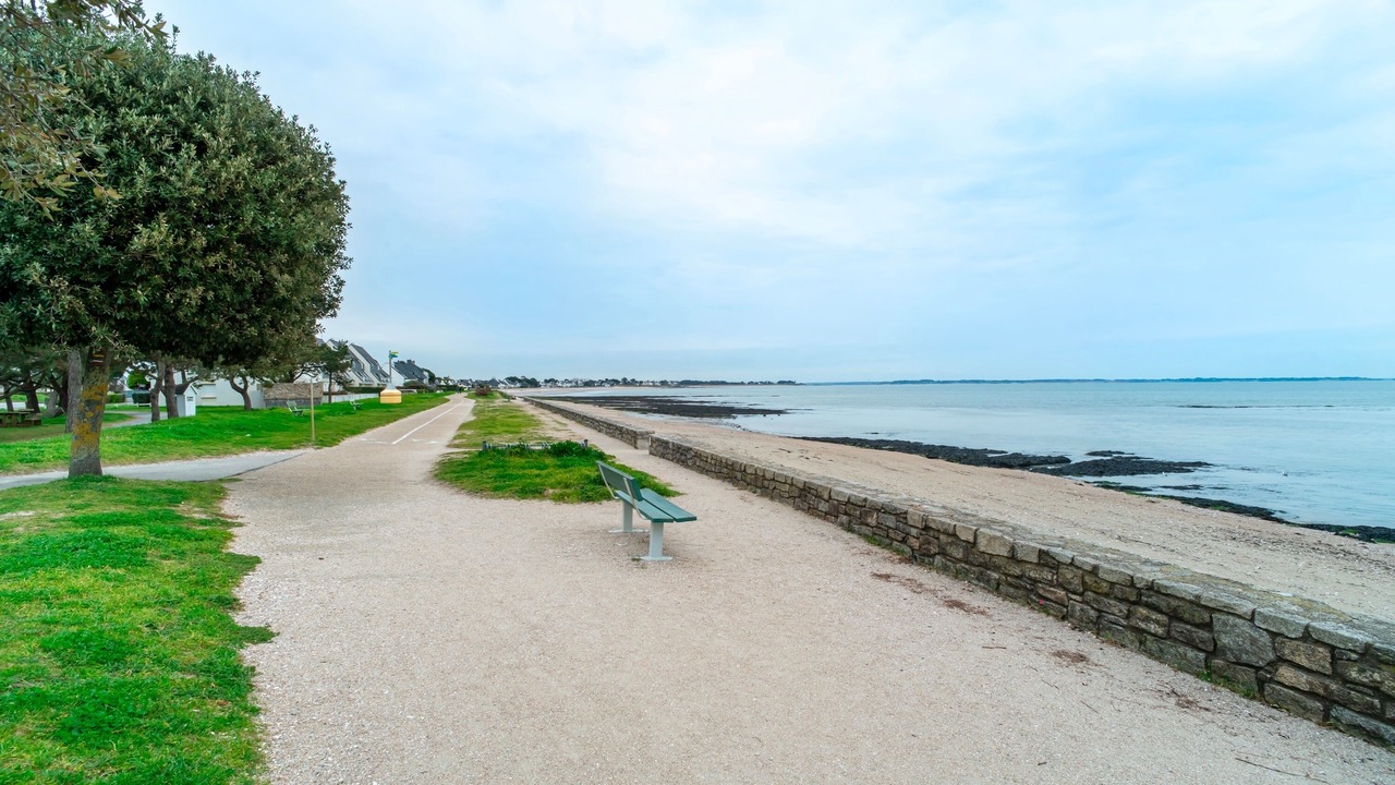 Photo of Others in Damgan