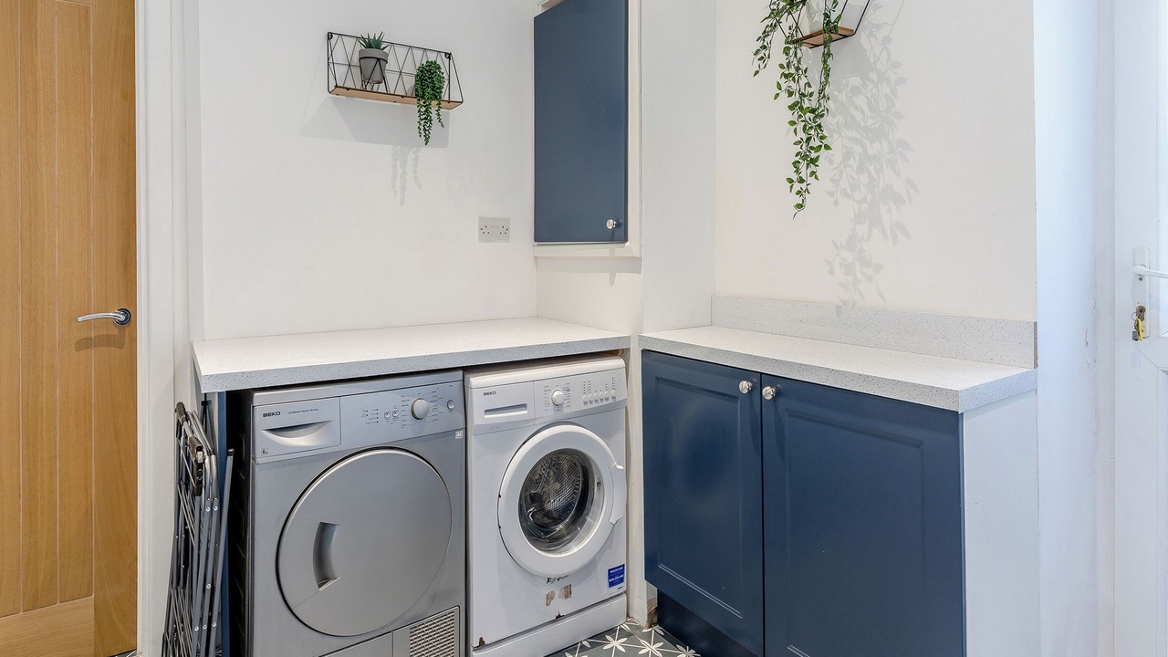 Photo of Others in Mountain Ash