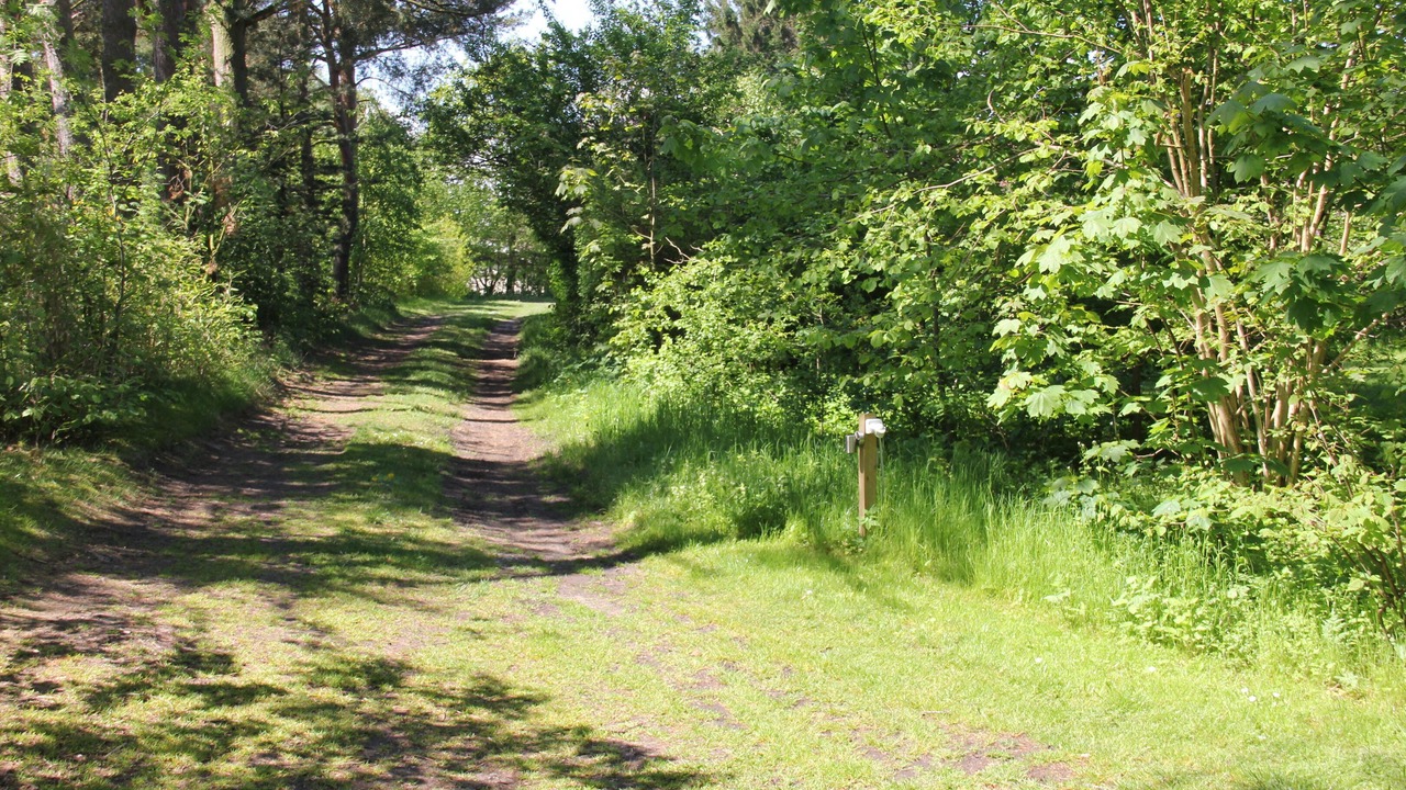 Photo of Others in Hornbaek