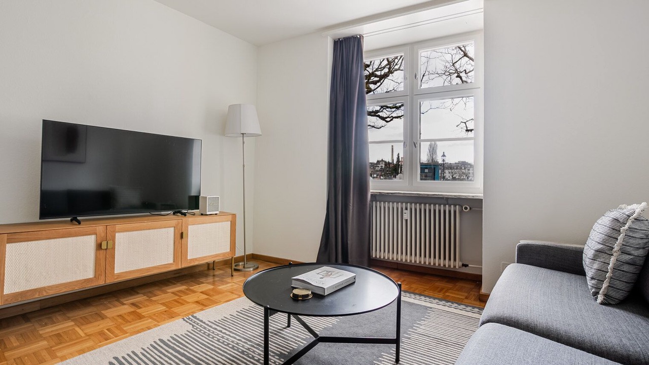 Photo of Livingroom in Basel City Centre