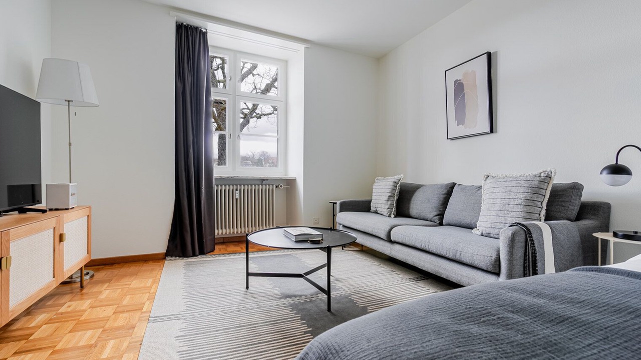 Photo of Livingroom in Basel City Centre