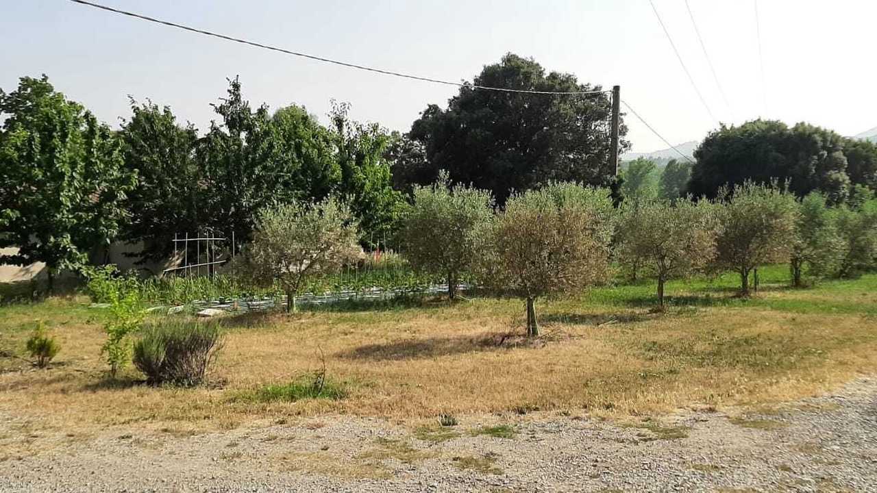 Photo of Others in Villeneuve