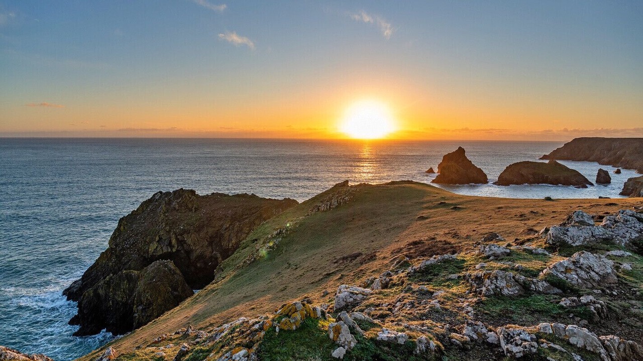 Photo of Others in The Lizard